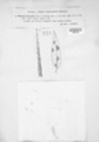 Ramularia veronicicola image